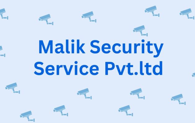 Malik Security Service Pvt.ltd - Security Services In Hisar