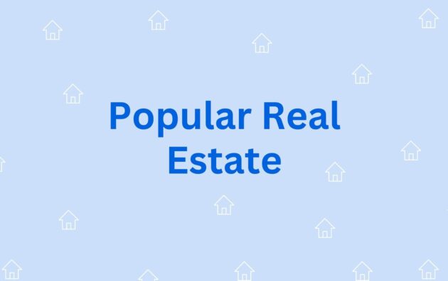 Popular Real Estate - Property Dealer in Hisar Mohalla Dogran