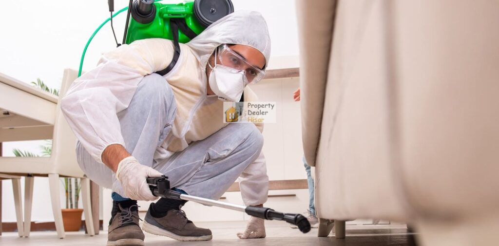 How to Choose the Right Pest Control Service in Hisar