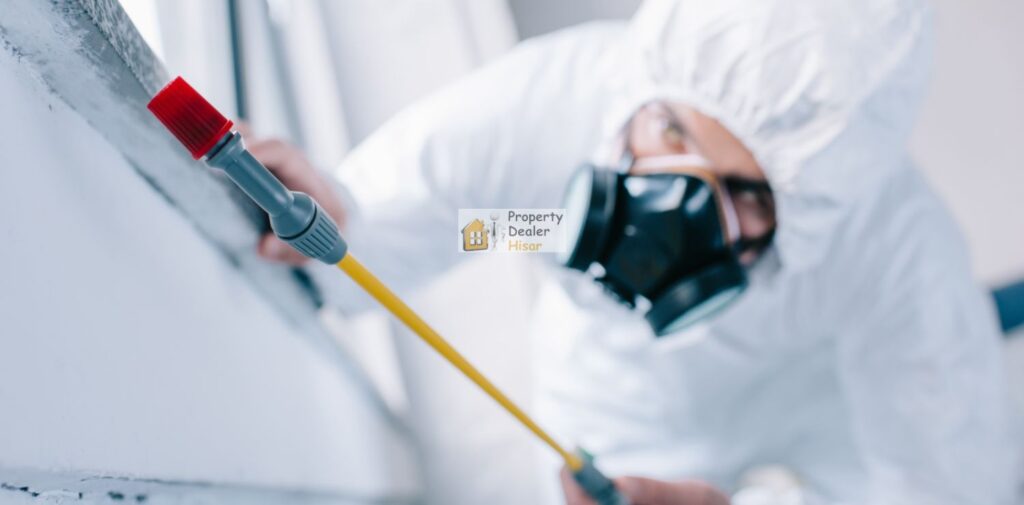 Pest-Control-Services-in-Hisar-Protecting-Your-Home-and-Health-What-Is-Pest-Control