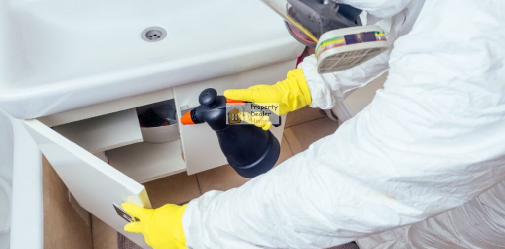 Types of Pest Control Services in Hisar
