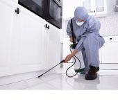 Just Do Pest Control - Pest Control in Hisar
